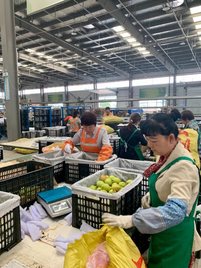 新疆农产品电商出疆 为何选择这里作为‘中转’首选