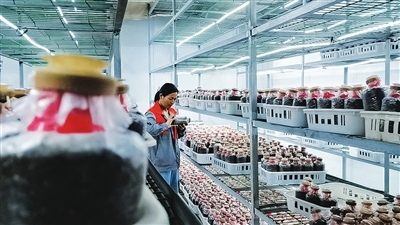 银川新闻网助力初级农产品销售，打造优质农品直通平台