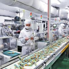 共襄盛会，助力丰收——热烈祝贺第二十二届中国农产品加工业投资贸易洽谈会在驻马店隆重举行