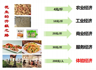 2025年我国乡村旅游市场展望 营业收入破1.2万亿元，初级农产品销售成关键驱动力