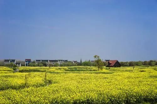 聚焦微笑曲线 教您如何高效销售初级农产品