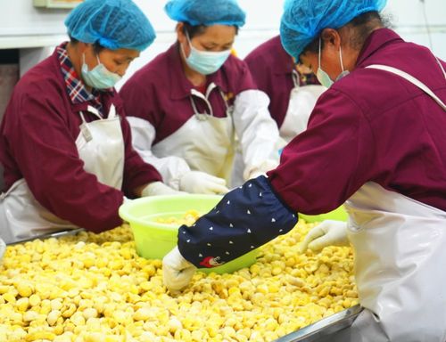 来，一起共享丰收的喜悦——初级农产品销售新体验